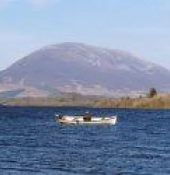 Nephin