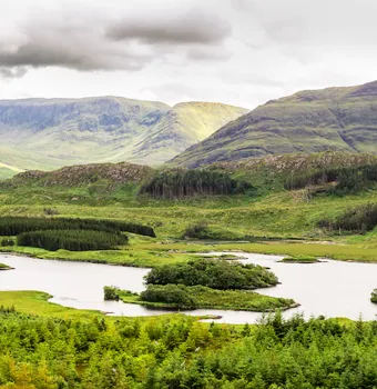 Explore Six Stunning Drives from Westport