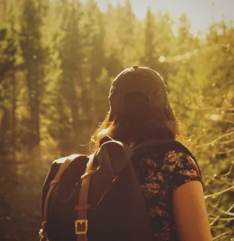 Five Fabulous Forest Walks Close to Westport