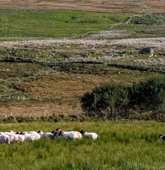Glen Keen Farm
