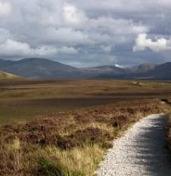 Five loop walks near Westport