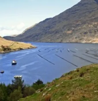 Killary Harbour