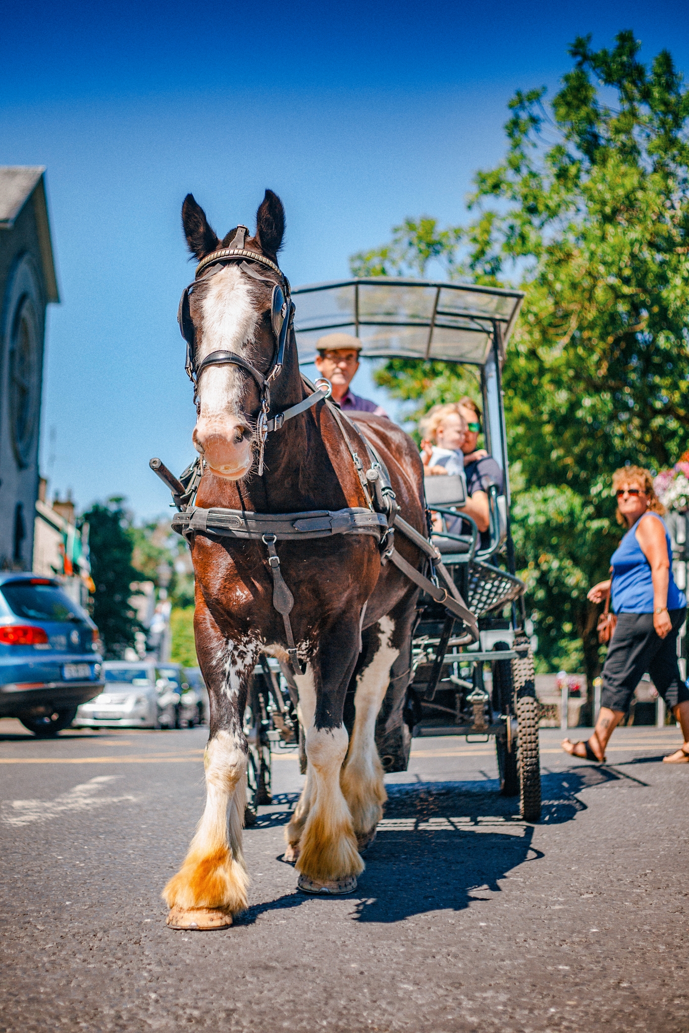 What to Do in Westport